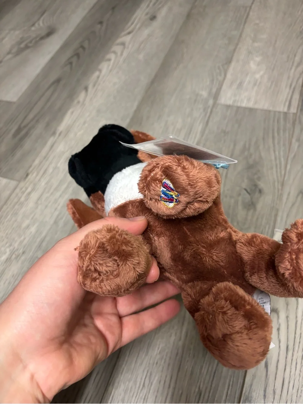 Webkinz boxer new with code